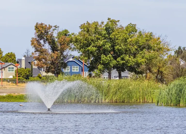Lake with a fountain and homes along the shore